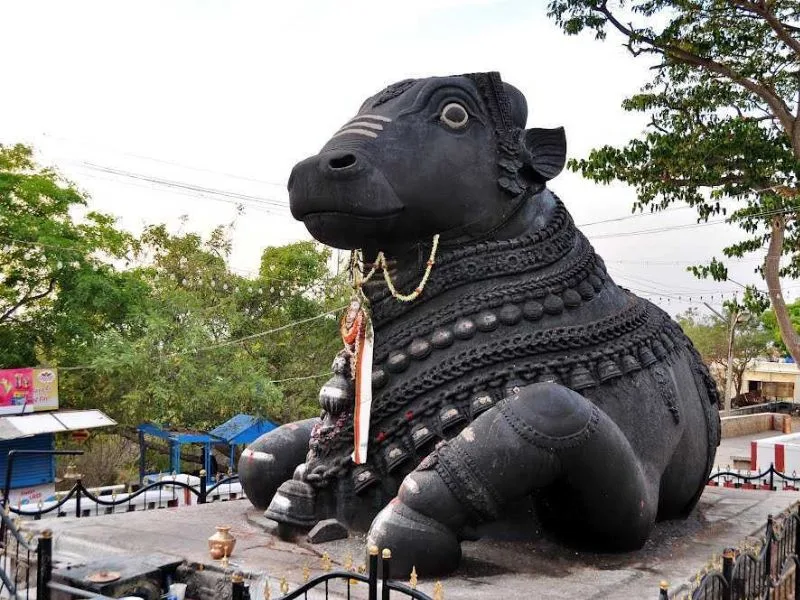 Nandi / Bull Temple Bangalore